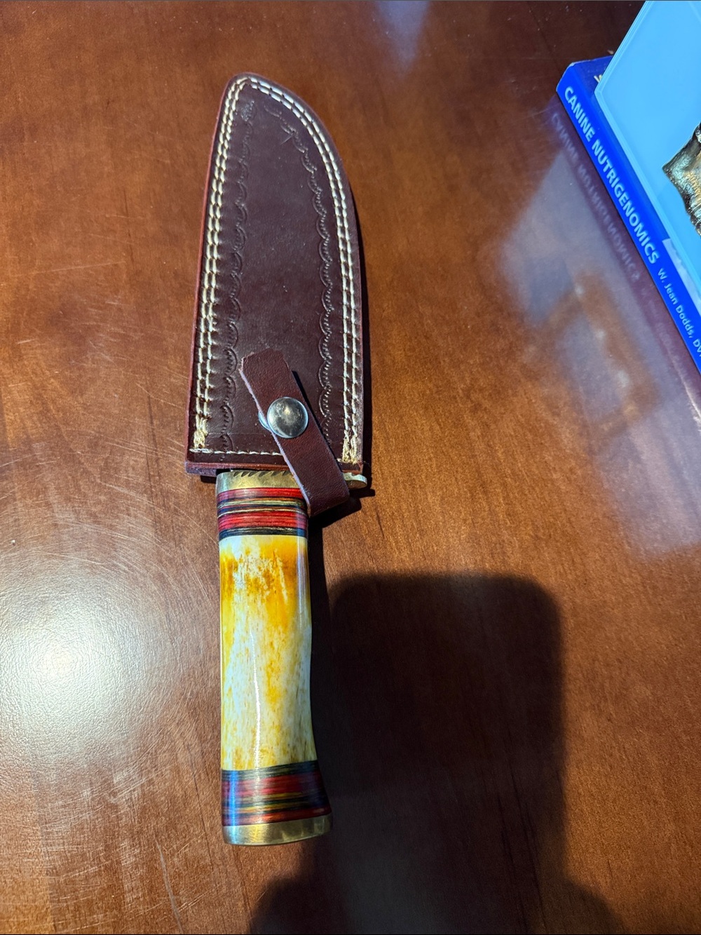 Handcrafted Brown Leather Sheath Knife with Yellow Bone Handle